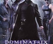 The Domimatrix